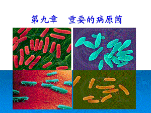 《重要的病原菌》PPT课件.ppt