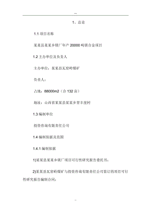 某某公司年产20000吨镁合金项目可行性研究报告.doc