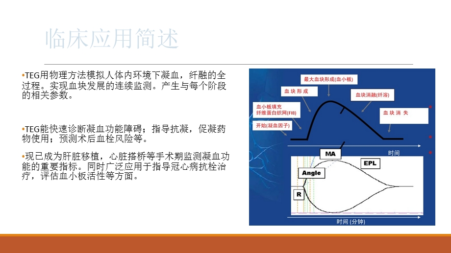 《血小板图检测》PPT课件.ppt_第3页