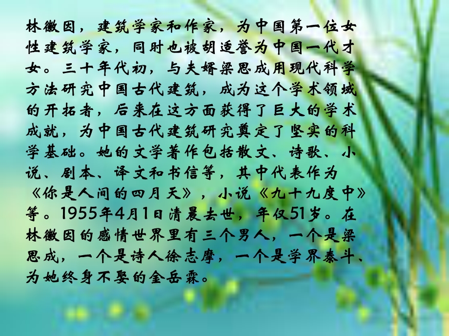 一片阳光赏析林徽因.ppt_第2页