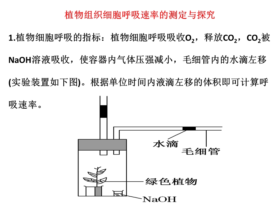 《细胞呼吸实例》PPT课件.ppt_第1页