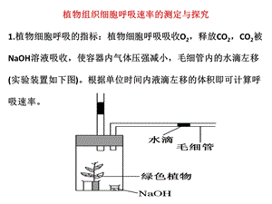 《细胞呼吸实例》PPT课件.ppt