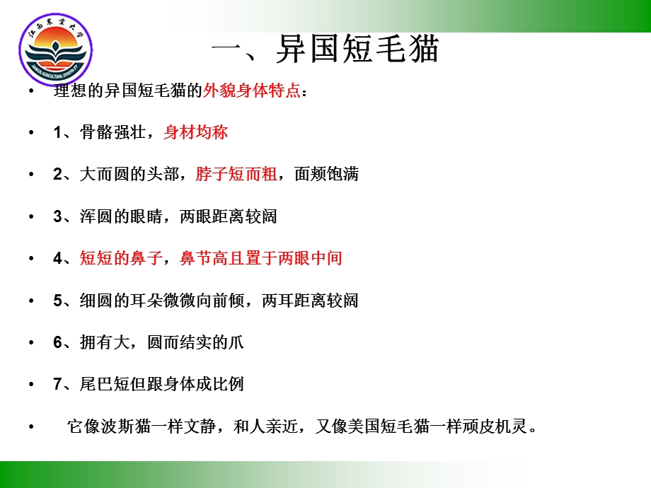 《猫的品种汇总》PPT课件.ppt_第3页