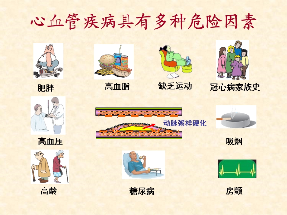 《血脂基础知识》PPT课件.ppt_第3页