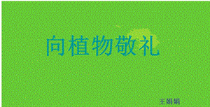 《向植物敬礼》PPT课件.ppt