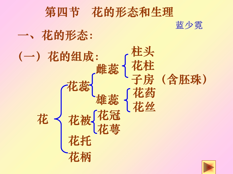 《花的形态和生》PPT课件.ppt_第1页