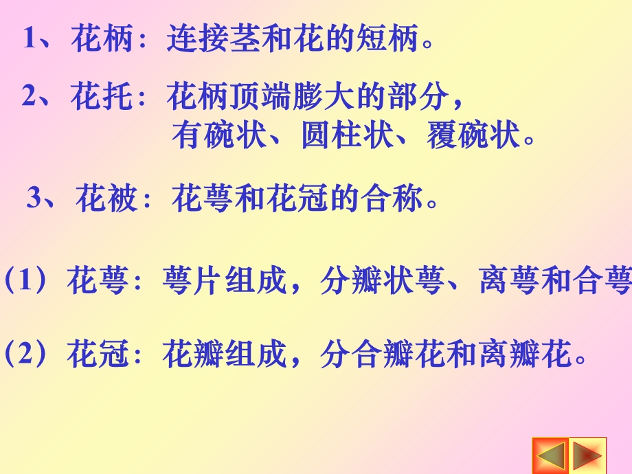 《花的形态和生》PPT课件.ppt_第2页