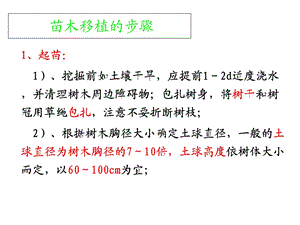 《苗木移植的步骤》PPT课件.ppt