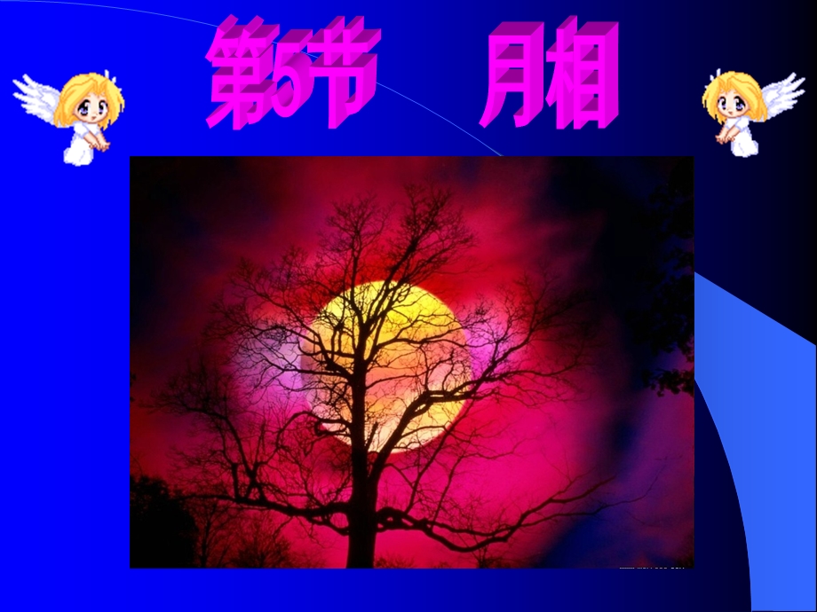 月球的各种圆缺形态课件.ppt_第1页