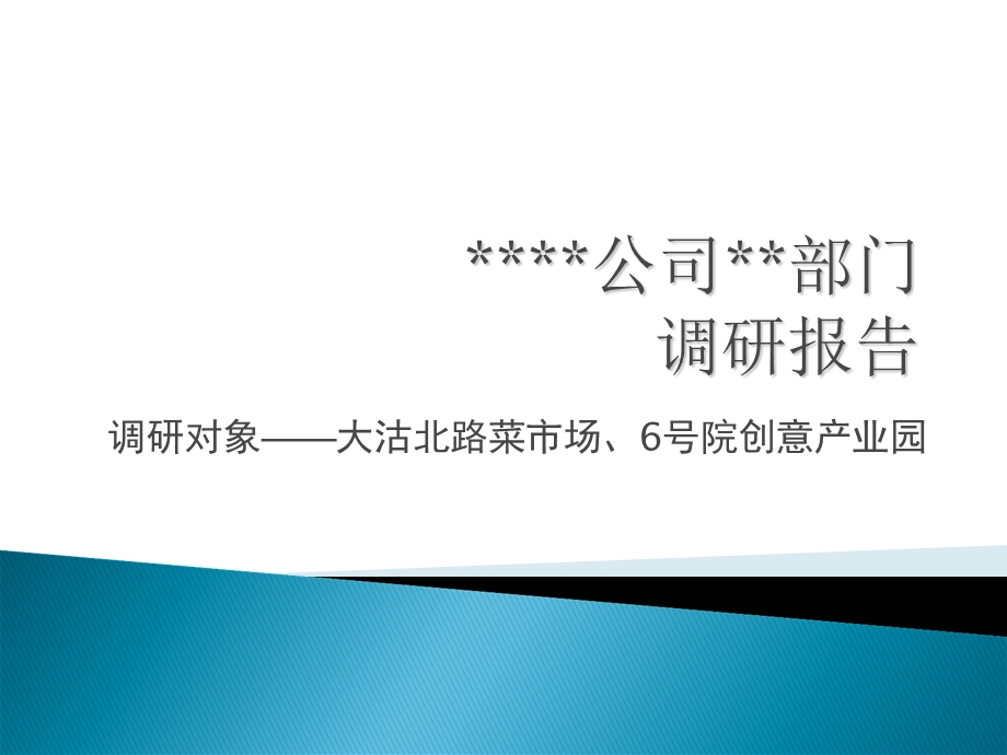 《项目考察报告》PPT课件.ppt_第1页