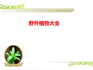 《野外植物大全》PPT课件.ppt