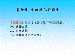 《生物进化的因素》PPT课件.ppt