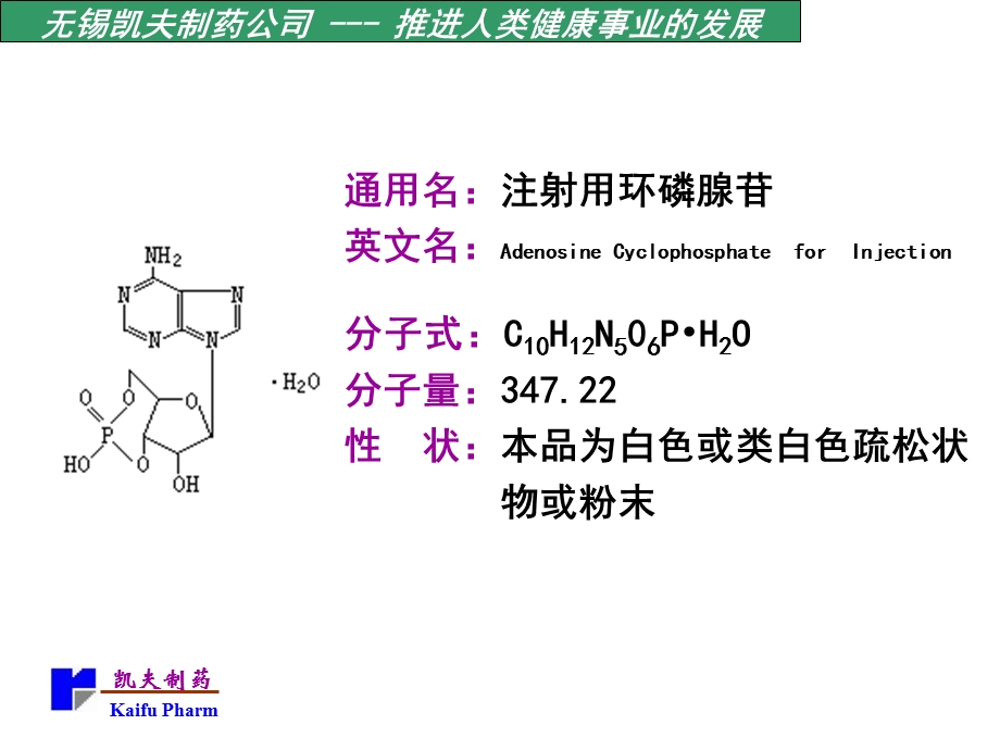 《环磷腺苷产品知识》PPT课件.ppt_第2页