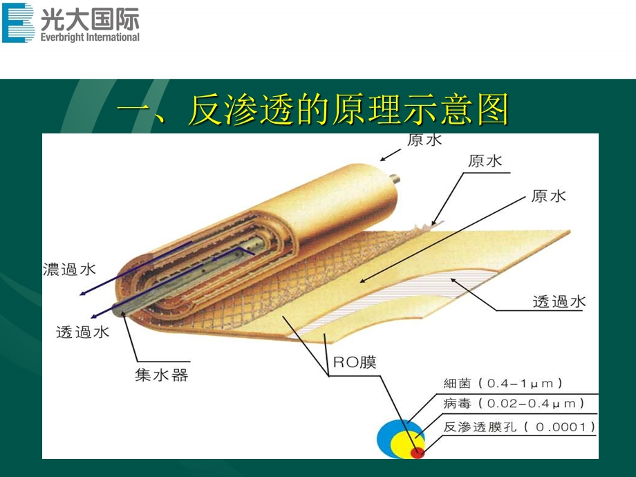 反渗透膜结垢的原因和处理方法.ppt_第2页