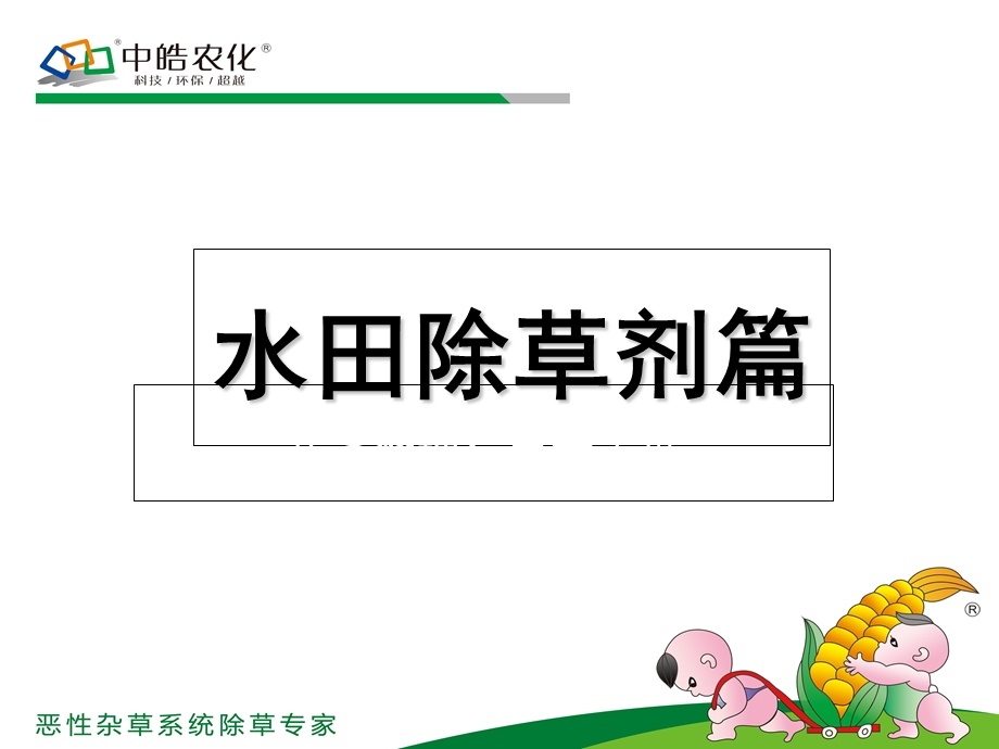 《中皓水稻田除草剂》PPT课件.ppt_第1页