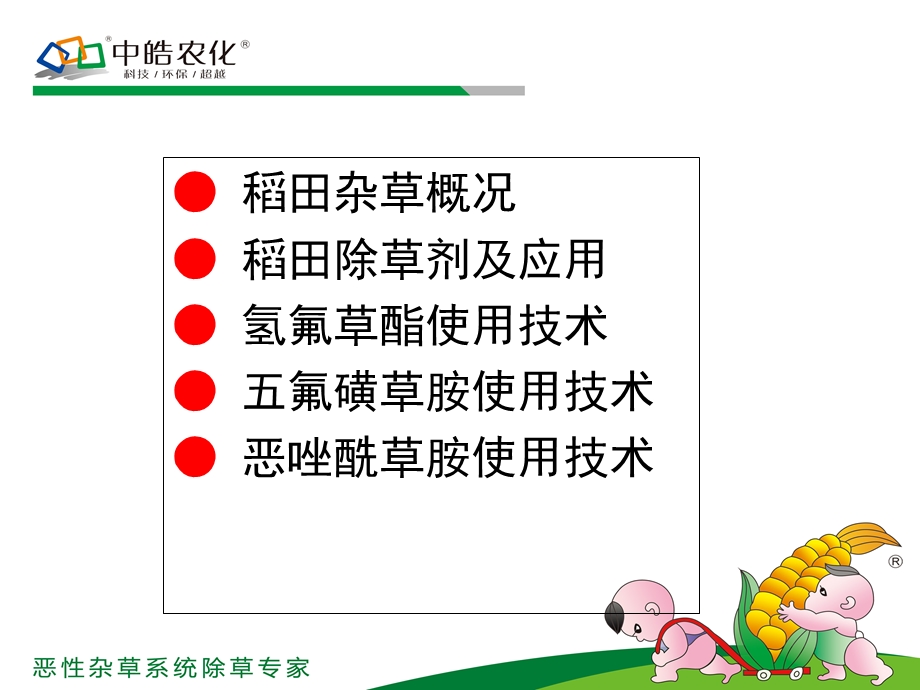 《中皓水稻田除草剂》PPT课件.ppt_第2页