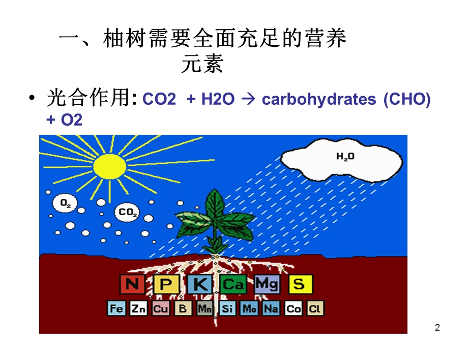 《琯溪蜜柚科学施肥》PPT课件.ppt_第2页