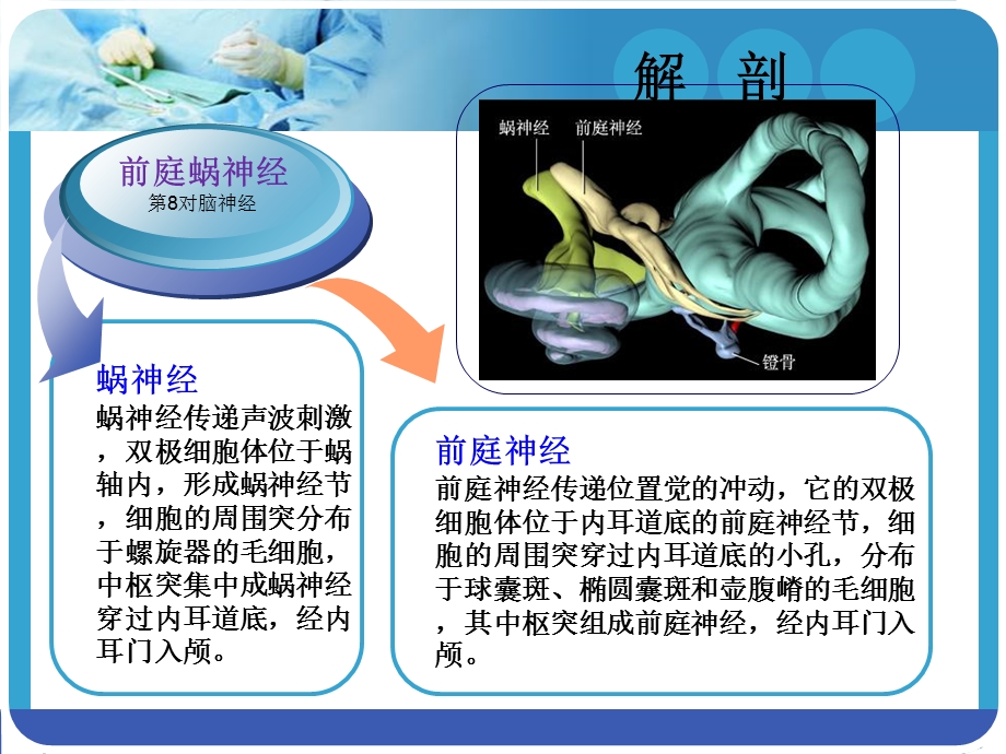 《听神经瘤切除术》PPT课件.ppt_第3页