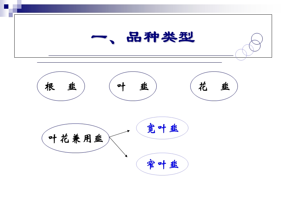 《设施韭菜栽培》PPT课件.ppt_第3页