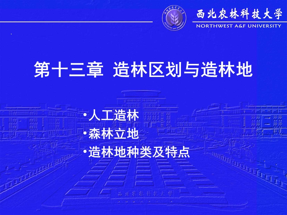 《造林区划与造林地》PPT课件.ppt_第1页