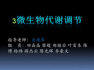 《酶的活性调节》PPT课件.ppt