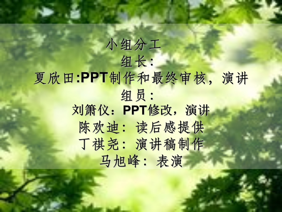 《夏欣田小组》PPT课件.ppt_第2页