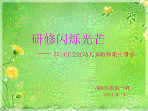 研修闪烁光芒.ppt