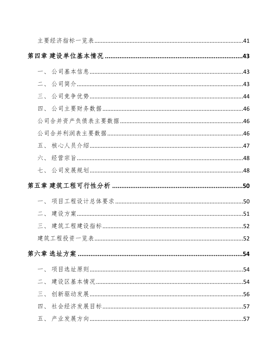 南昌汽车电子项目可行性研究报告.docx_第2页