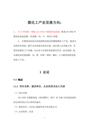 120万吨年煤粉制氢清洁燃料、联产 50万吨年焦油轻质化综合利用项目可行性研究报告.doc