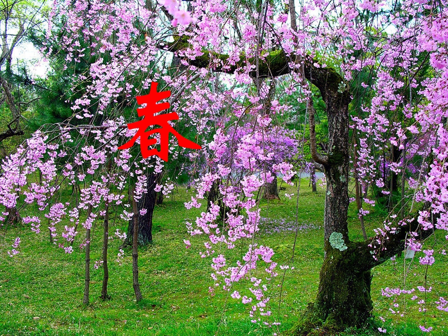 综合性学习感受自然走过四季.ppt_第3页