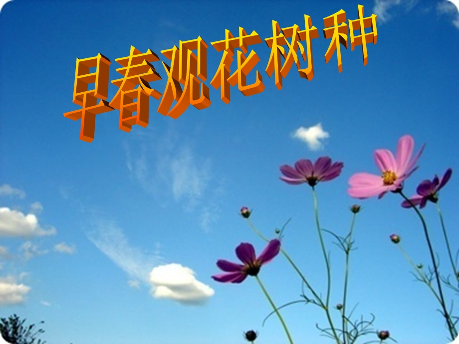 《早春观花树种》PPT课件.ppt_第1页