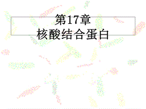 《核酸结合蛋白》PPT课件.ppt