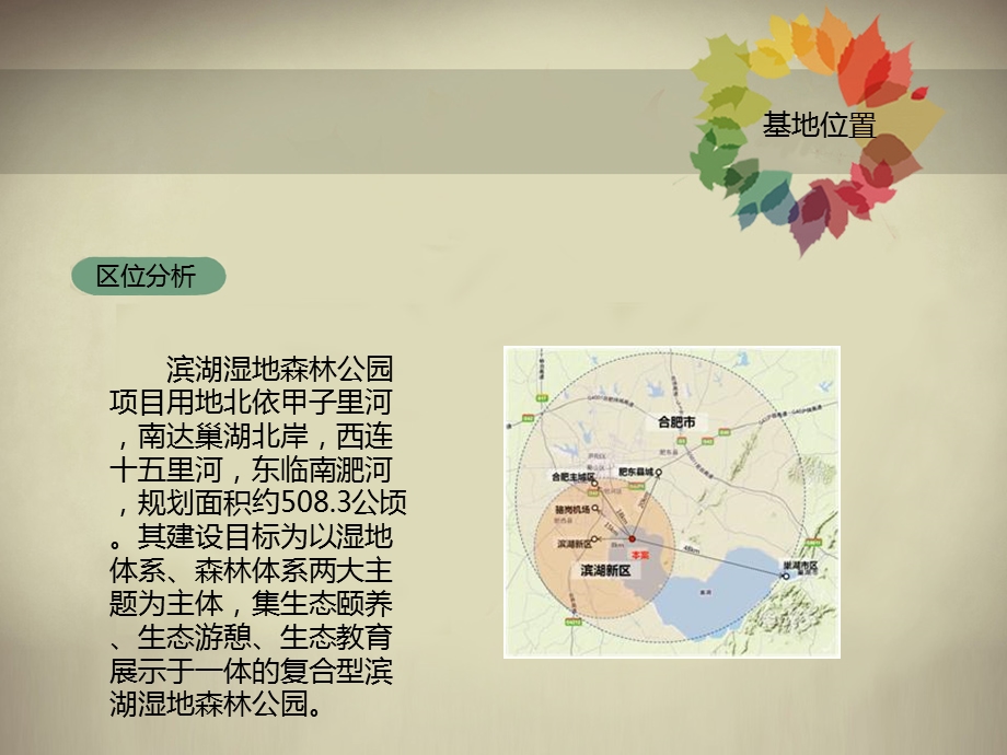 《滨湖湿地分析》PPT课件.ppt_第3页