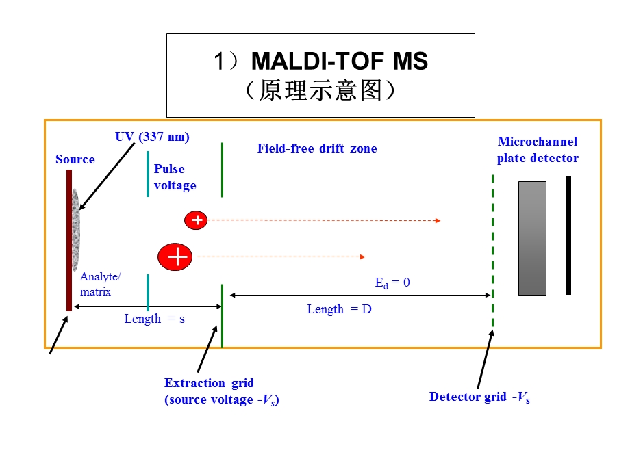 《质谱分析技术》PPT课件.ppt_第3页