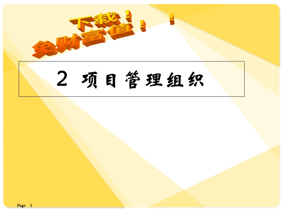 《项目组织》PPT课件.ppt_第1页