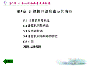 《计算机病毒及防范》PPT课件.ppt