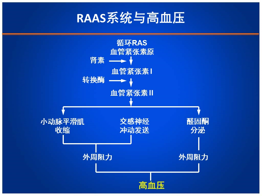 足剂量ARB对降压及靶器官保护的应用探讨.ppt_第2页