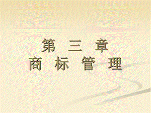 《知识产权管理》PPT课件.ppt