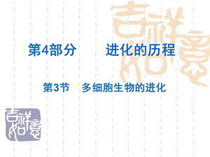 《进化的历程》PPT课件.ppt