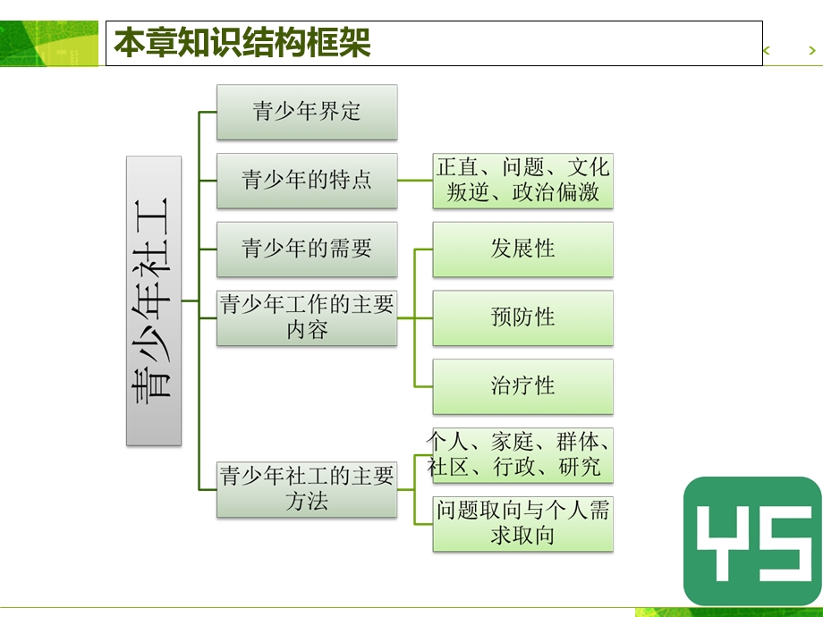 《青少年社会工作》PPT课件.ppt_第2页