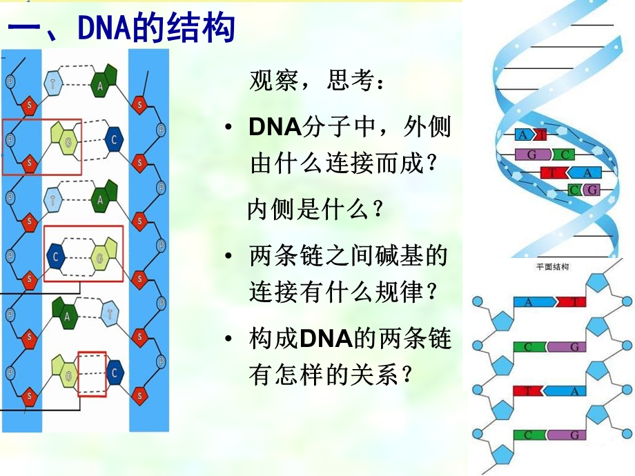 《人教基因工程》PPT课件.ppt_第2页