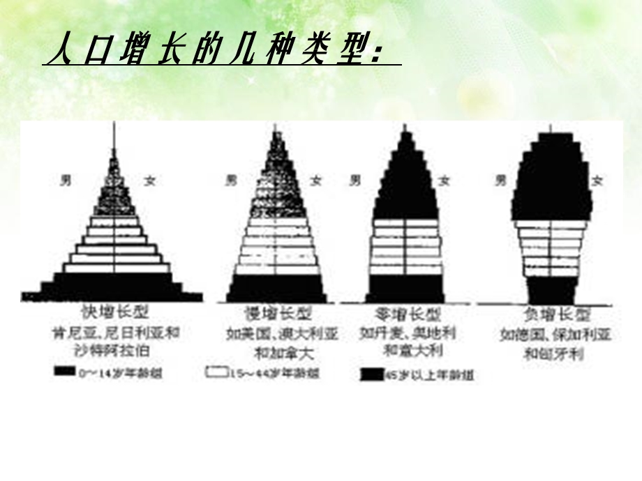 《木的近代史》PPT课件.ppt_第3页