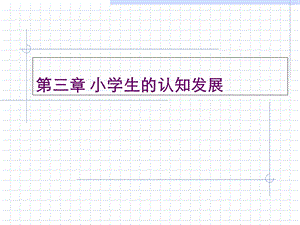 《认知发展》PPT课件.ppt