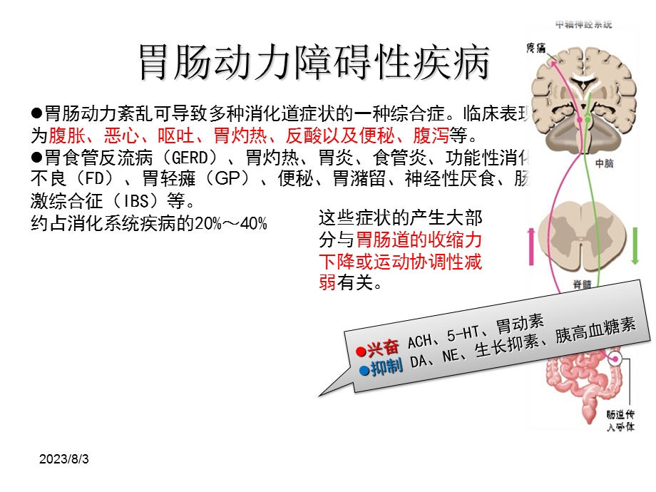 《促胃动力药剖析》PPT课件.ppt_第3页