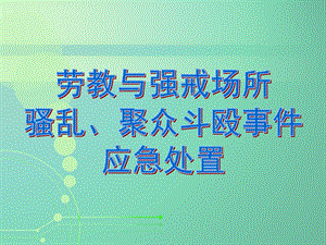 《劳教与强戒场所》PPT课件.ppt