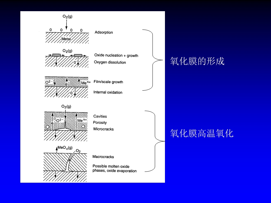 《环境腐蚀》PPT课件.ppt_第3页