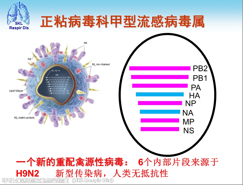 人感染H7N9禽流感诊疗方案().ppt_第3页