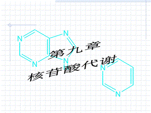 《嘌呤核苷酸代谢》PPT课件.ppt