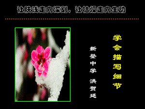 《学会描写细节》PPT课件.ppt