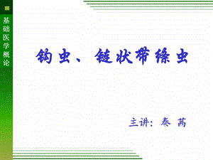 《钩虫链状带绦虫》PPT课件.ppt